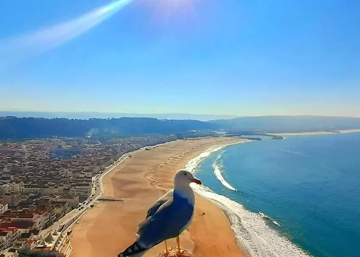 Maresia Mar Nyaraló *